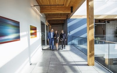 Microsoft Teams: Quantificando o valor da colaboração